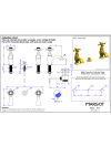 Paire de robinets de lavabo - CIRCÉ - MARGOT - margot_circe__pair_de_robinet_lavabo_m20-1201_schema