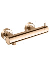 MITIGEUR DOUCHE METAL BROSSÉ TRIVERDE  - tv48146_2