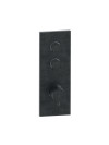 FAÇADE TRIVERDE THERMOSTATIQUE ENCASTRÉE THERMO TWIST 2 SORTIES XT612 - xt61275_chrome__noir_brosse__pvd_fac_ade_2_voies_ondyna_thermo_twist