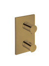 FAÇADE 2 SORTIES VIEUX BRONZE THERMOSTATIQUE  TRIVERDE   - xt85292