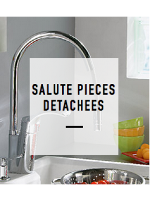 Pieces detachees SALUTE E76081 - JACOB DELAFON