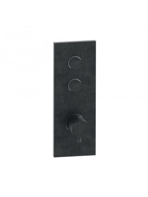 FAÇADE TRIVERDE NOIR CHROMÉ BROSSÉ 2 SORTIES THERMOSTATIQUE ENCASTRÉE THERMO TWIST XT61275