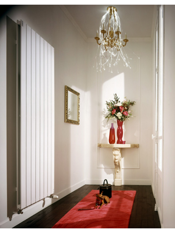 Radiateur ACOVA FASSANE VERTICAL DOUBLE