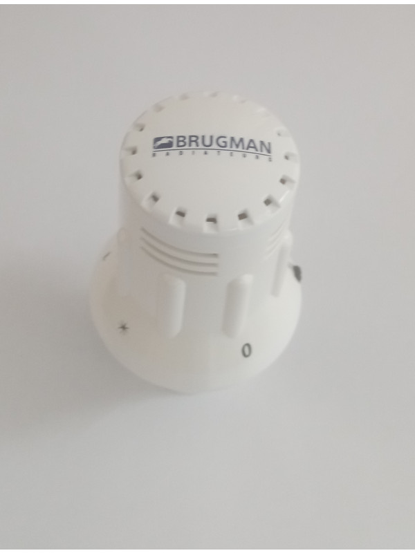 SET N°22 Insert (pas de 40 mm) - brugman_tete_thermostatique