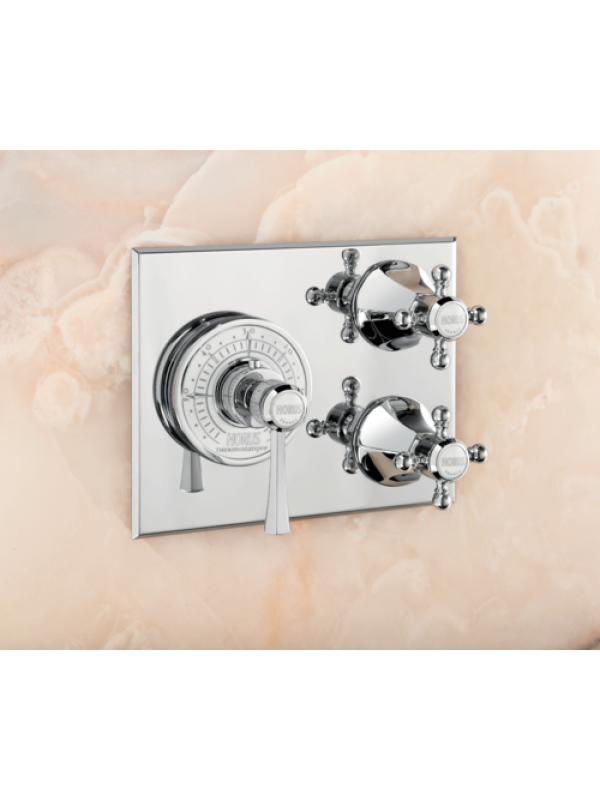 FACADE MITIGEUR THERMOSTATIQUE ASCOTT 2 SORTIES  - facade_mitigeur_thermostatique_65527_ascott_horus