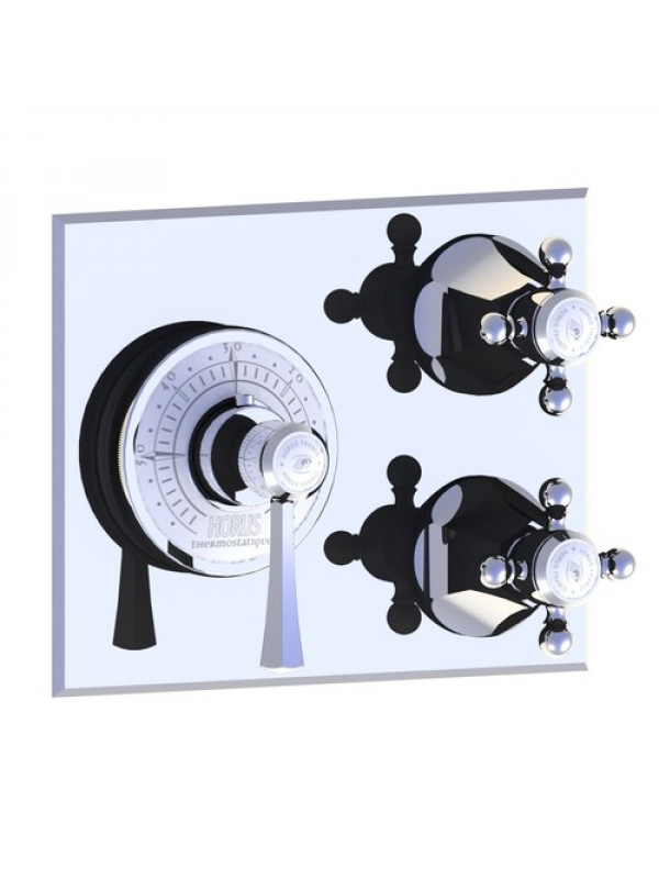 FACADE MITIGEUR THERMOSTATIQUE ASCOTT 2 SORTIES  - facade_mitigeur_thermostatique_encastre_3_sorties_65_527