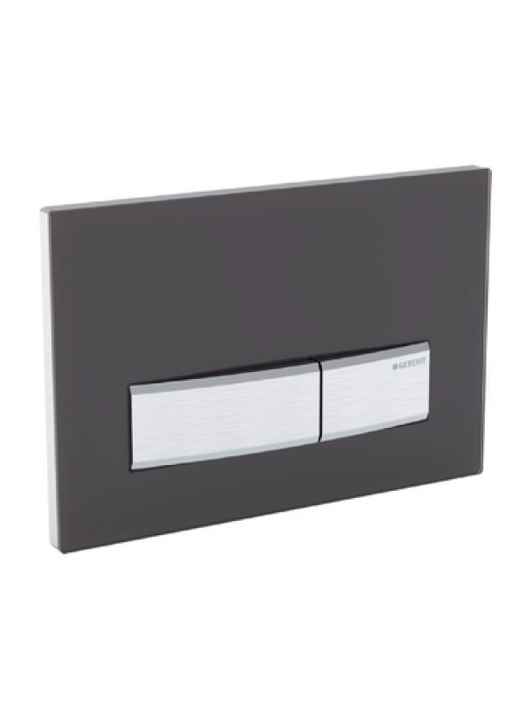 Plaque de déclenchement WC Noir Ral 9005 - plaque-de-declenchement_geberit_sigma_50_1