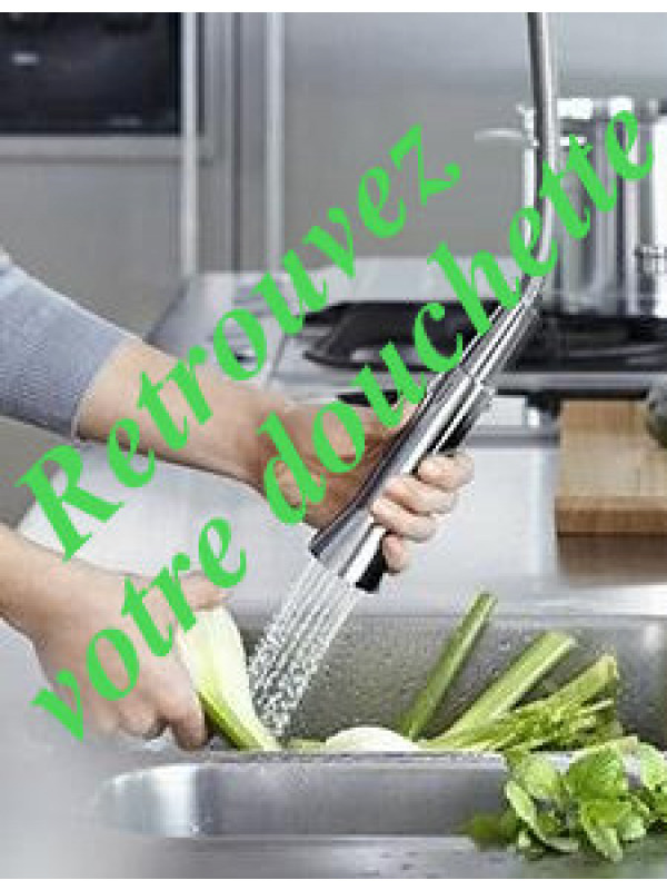 Douchette pour Mitigeur cuisine ONDYNA - retrouvez_votre_douchette_kwc_1