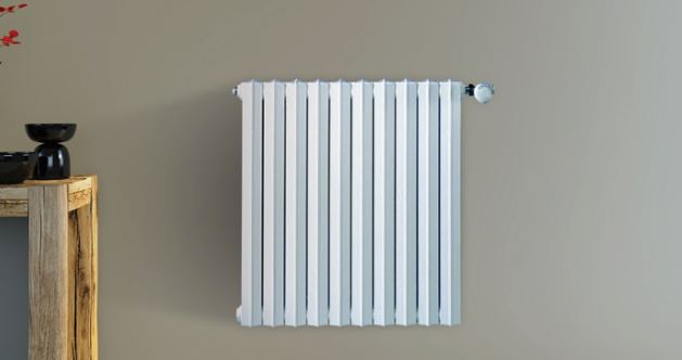 radiateur savane chappee fonte